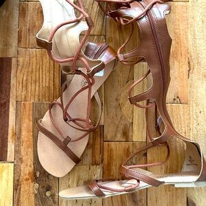 Gladiator Sandal knee high brown